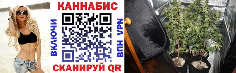 Шишки марихуана семена  Шатура 